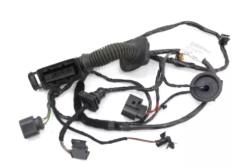 Seat Ibiza 6J 4/5-Türer Kabelbaum Tür Türkabelbaum ZV vorne links 6J4971120R (106094)