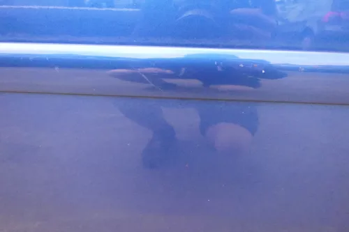 VW Touran 1T 1T3 Tür vorne rechts Beifahrertür blau LC5C- ohne Anbauteile (111852)