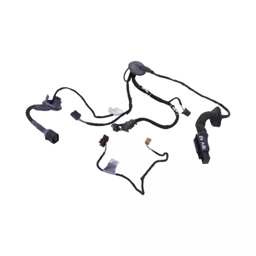 1x Audi A4 8K Kabelbaum Tür Türkabelbaum ZV hinten rechts /links  8K0971687B