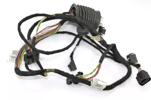Audi A6 4B Kabelbaum Tür Türkabelbaum ZV vorne links 4B0971029B