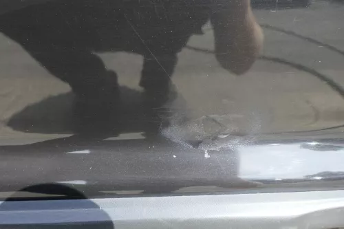 VW Polo 6N 6N2 Tür hinten rechts schwarz LC9Z 4-Türer (116191)