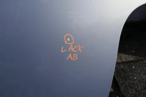 VW Lupo 6X Heckklappe hinten Klappe Kofferraumklappe Scheibe grau blau LR7U 3L (118751)