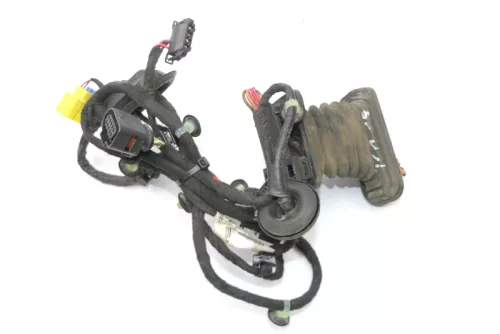 VW Passat 3C Kabelbaum Tür Türkabelbaum ZV vorne links Leitungssatz 3C1971120CK (119199)