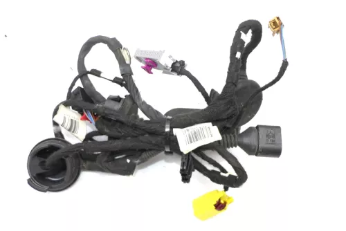 Audi A3 8P 4/5-Türer Kabelbaum Tür Türkabelbaum ZV vorne rechts 8P4971030A / C (119332)