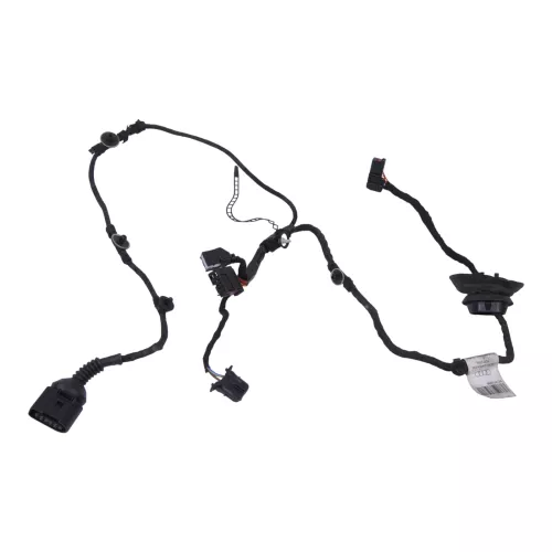 Audi 8E B6 Kabelbaum Tür Türkabelbaum ZV vorne links 8E1971029B 8E1971029C