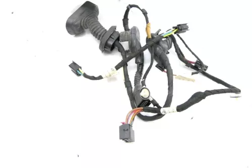 1x Audi A6 4F Kabelbaum Tür Türkabelbaum ZV hinten links / rechts 4F1971687N