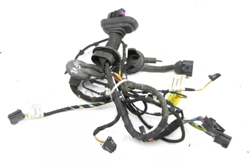 Audi A6 4F Kabelbaum Tür Türkabelbaum ZV vorne links 4F1971029A 4F1971035Q (126198)