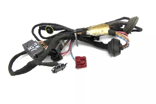 VW Passat 3BG 3B Variant Kabelbaum Tür Türkabelbaum ZV hinten links 3B0971161N (126231)