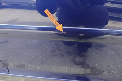 VW Golf 5 V 1K Tür nur das Türblatt hinten links 4/5-Türer  blau LD5Q (129115)