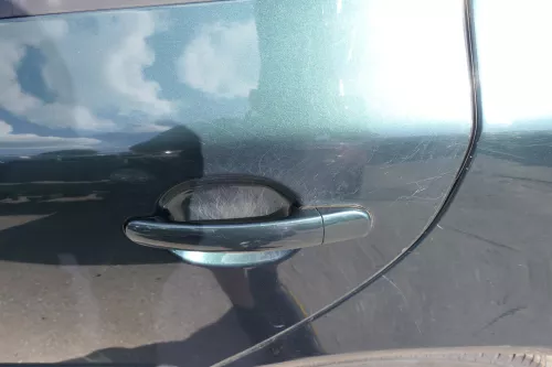 Skoda Octavia 1Z Kombi Tür hinten links grün LF6K (ohneAnbauteile) (130278)