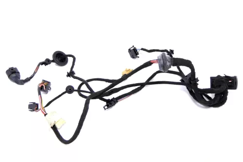 VW Passat 3B Kabelbaum Tür Türkabelbaum ZV vorne links 3B0971120H 3B0971120N (146509)