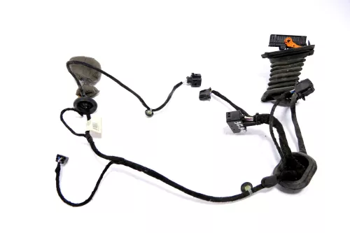 VW Passat 3C Kabelbaum Tür Türkabelbaum ZV hinten rechts 3C4971694FP /FR (146847)