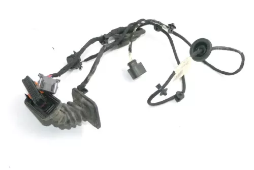 VW Passat 3C Kabelbaum Tür Türkabelbaum ZV hinten rechts 3C4971694GB