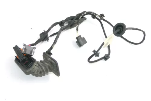 VW Passat 3C Kabelbaum Tür Türkabelbaum ZV hinten rechts 3C4971694GB (150832)