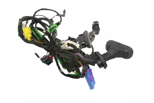 Audi A6 4F Kabelbaum Tür Türkabelbaum ZV vorme links Fahrertür 4F1971029AF