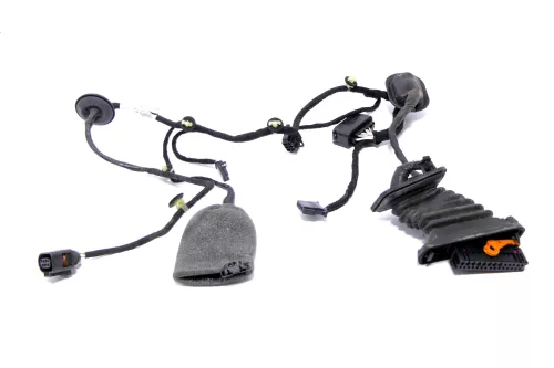VW Passat 3C Kabelbaum Tür Türkabelbaum ZV hinten rechts 3C4971694GN (157014)