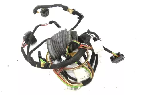 Audi A6 4B Kabelbaum Tür Türkabelbaum ZV vorne rechts 4B0971029H 4B0971029B