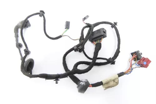 VW Passat 3BG 3B Variant Kabelbaum Tür Türkabelbaum ZV hinten links 3B0971161J