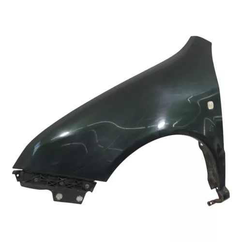 Skoda Fabia 6Y Kotflügel vorne links grün LF8C auch Kombi (158662)
