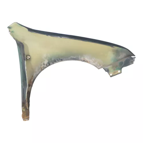 Skoda Fabia 6Y Kotflügel vorne links grün LF8C auch Kombi (158662)