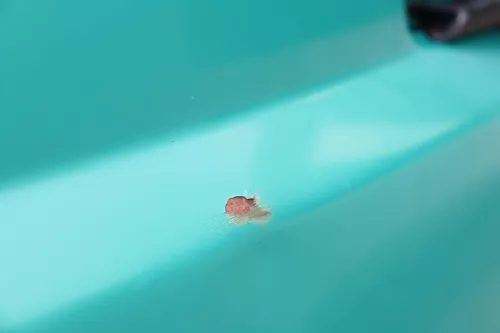 VW LT 35 2D Kotflügel vorne links grün L9ß2 (158697)