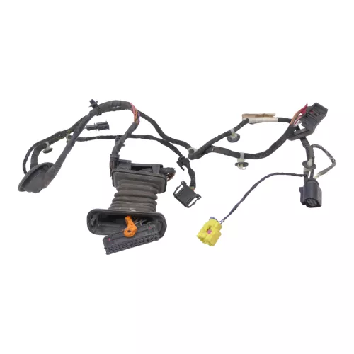 VW Passat 3C Kabelbaum Tür Türkabelbaum ZV vorne rechts Leitungssatz 3C1971121BN