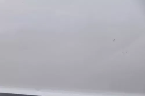 VW Passat 3B 3BG Kombi + Limo Tür vorne rechts Beifahrertür grau silber LA7W (162988)