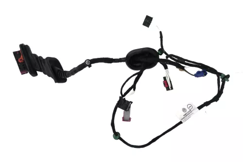 VW Caddy 2K Kabelbaum Tür Türkabelbaum ZV vorne rechts 2K5971121CB /AE