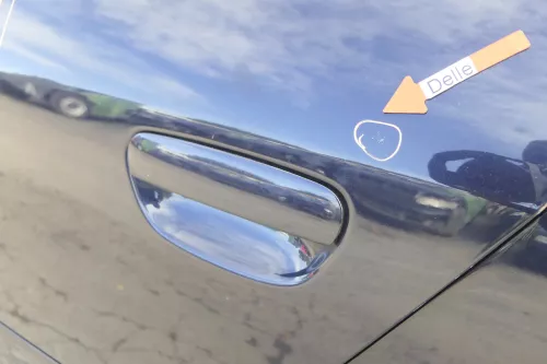 Audi A6 4B C5 Tür Türblatt hinten links blau LZ5L nur Türblatt (164110)