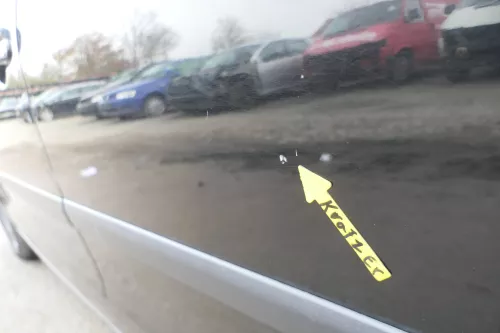VW Polo 9N 9N3 Tür hinten links 4/5-Türer schwarz L041 - ohne Anbauteile (164270)