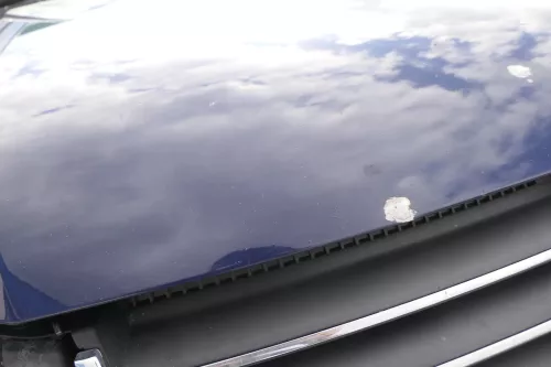 VW Passat 3BG Motorhaube Klappe vorne vorn Haube blau LB5N indigoblau (165108)