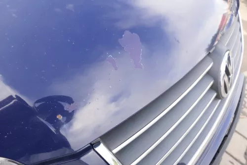 VW Passat 3BG Motorhaube Klappe vorne vorn Haube blau LA5E (165227)