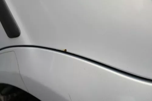 VW Passat 3B 3BG Limousine Tür hinten links silber grau LB7Z satinsilber (165506)