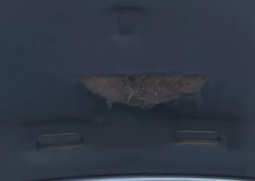 Ford Galaxy WGR Dämpfung Motorhaube Dämmung Motorhaubendämmung Facelift (165768)