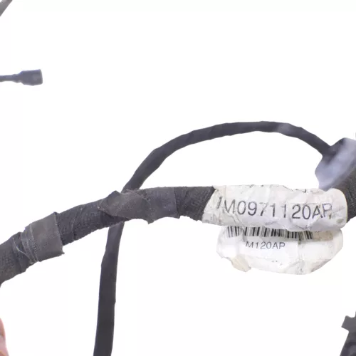 Seat Leon 1M Kabelbaum Tür Türkabelbaum ZV vorne links Leitungssatz 1M0971120AQ (168314)