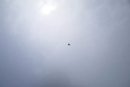 VW Fox 5Z Motorhaube Klappe vorn vorne silber LA7W Haube (168977)