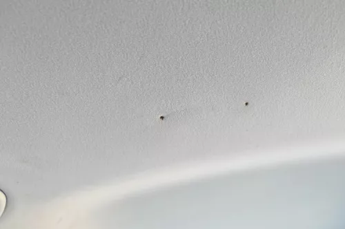 VW Golf 4 1J Kombi Variant Himmel Decke Dachhimmel Dach oben grau Schiebdach (170376)