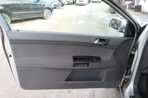 1x VW Polo 9N Türverkleidung Verkleidung Tür vorne links 2/3-Türer Fahrertür (171546)