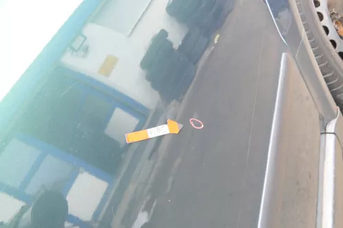 VW Passat 3B 3BG Limousine Tür hinten links grün LC6N (171973)