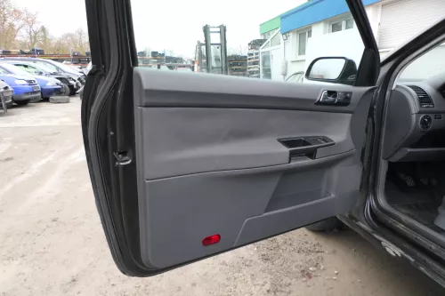 1x VW Polo 9N Türverkleidung Verkleidung Tür vorne links 2/3-Türer Fahrertür (172888)