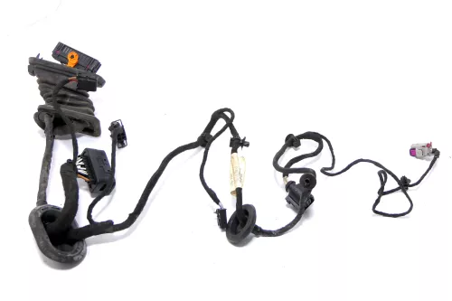 VW Passat 3C Kabelbaum Tür Türkabelbaum ZV hinten links 3C4971693GG /FS (174357)