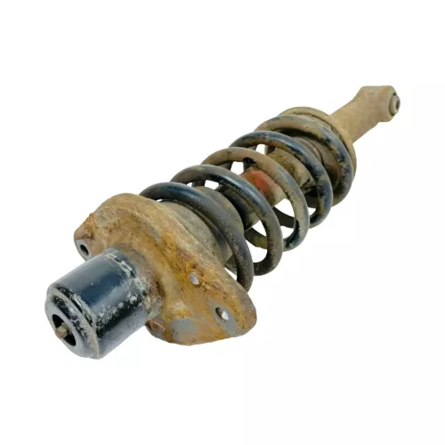 Audi A6 4B Quattro Allrad Federbein Stoßdämpfer Feder hinten links/rechts (176326)