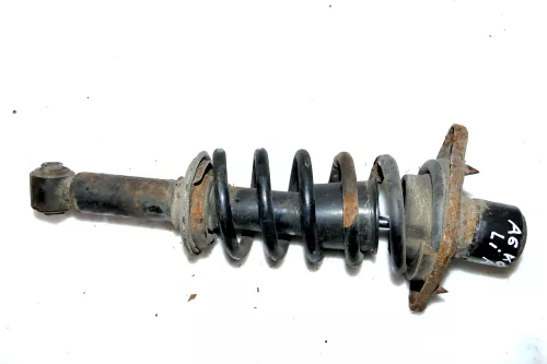 Audi A6 4B Quattro Allrad Federbein Stoßdämpfer Feder hinten links/rechts (176326)