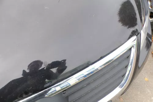 VW Passat 3C Motorhaube Klappe vorne vorn Haube schwarz LC9X deepblack öö (177820)