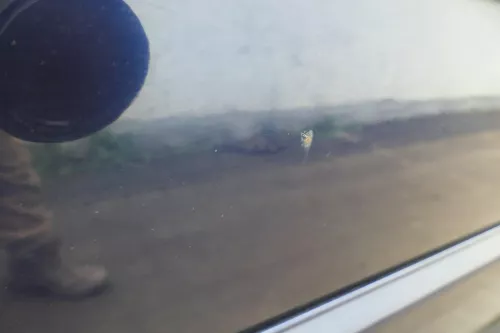 VW Golf 3 4 1E Cabrio Tür vorne rechts Beifahrertür blau LC5U - ohne Anbauteile (180216)