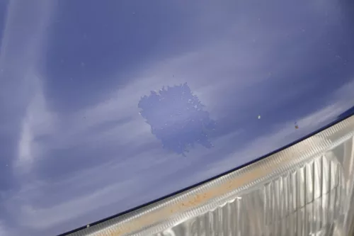 Audi A3 8L Motorhaube Frontklappe Haube blau LZ5K auch für Facelift (180831)