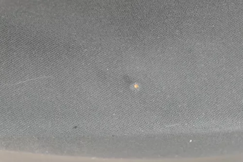 1x VW Golf 4 1J Kombi Türverkleidung Verkleidung Tür hinten links schwarz  (181002)