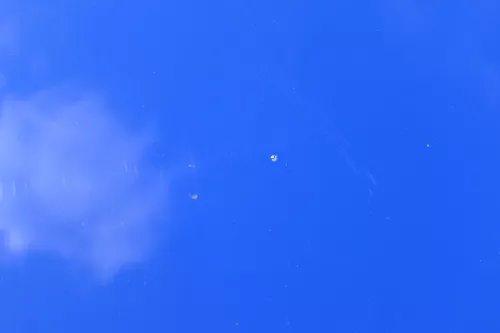 Skoda Fabia 5J Roomster Motorhaube Haube Klappe vorne blau LF5K (182549)