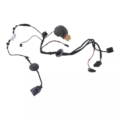 VW Polo 9N Kabelbaum Tür Türkabelbaum ZV vorne rechts Leitungssatz 6Q0971126BH