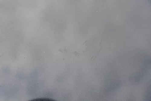 Audi A3 8L Motorhaube Frontklappe Haube schwarz LZ9U auch für Facelift (183955)